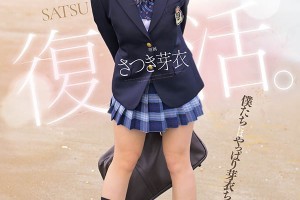 织田信奈半兵卫h本子[MP4]电影海报