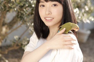 魔法小花仙第一册动画片[720P]电影海报