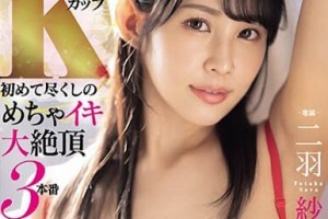 香港80武打电影大全[MP4]剧照2